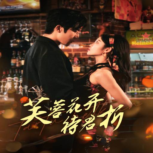下载封面