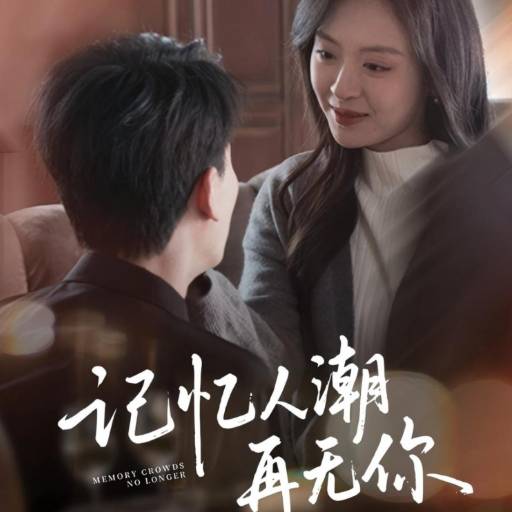 记忆人潮再无你