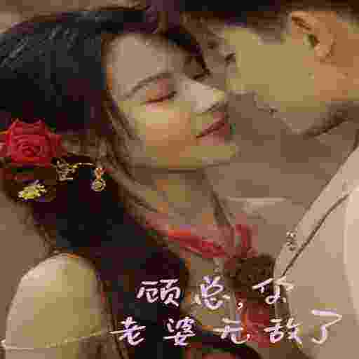 顾总，你老婆无敌了