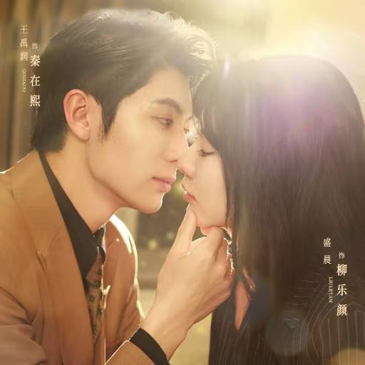 无情不成婚