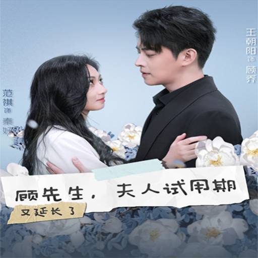 顾先生，夫人试用期又延长了