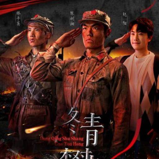 冬青树上果犹红