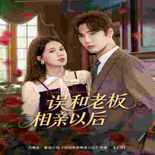 误和老板相亲以后