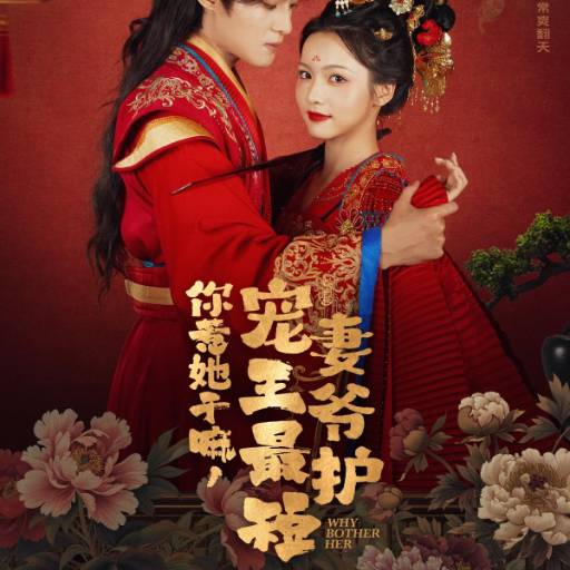 你惹她干嘛，宠妻王爷最护短
