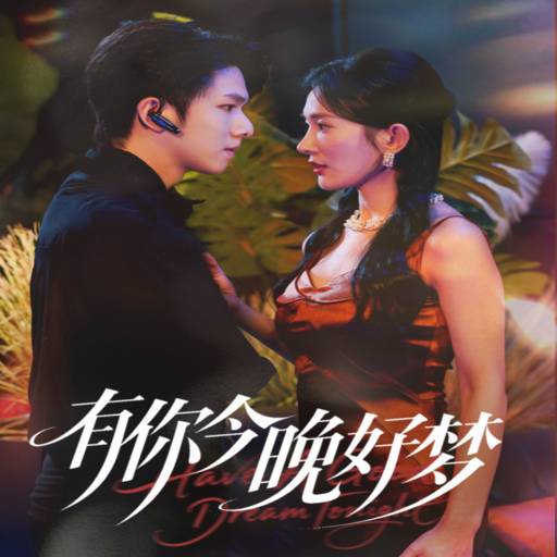 有你今晚好梦