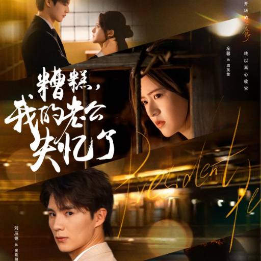 糟糕，我的老公失忆了