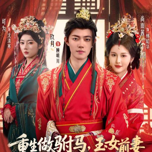 重生做驸马，玉女前妻她高攀不起