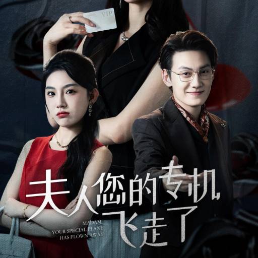 夫人您的专机飞走了