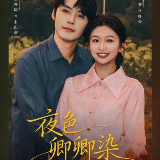 夜色卿卿染