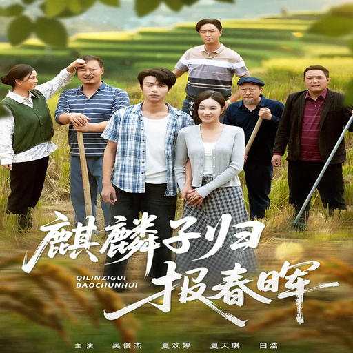 麒麟子归报春晖