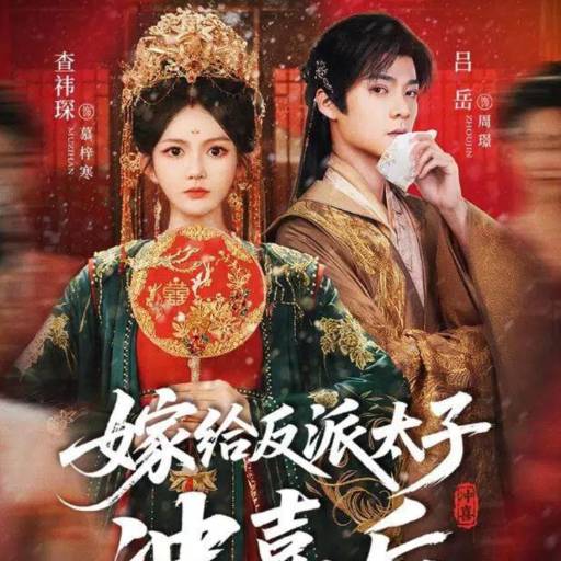 嫁给反派太子冲喜后