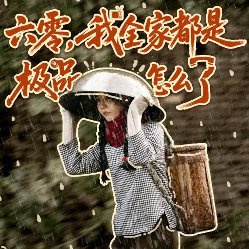 六零，我全家都是极品怎么了