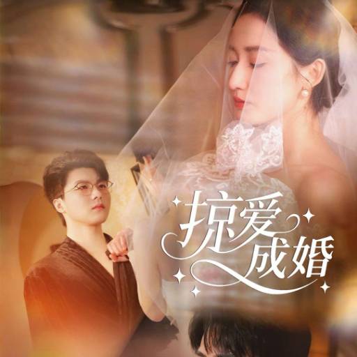 掠爱成婚