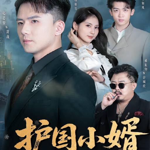 护国小婿