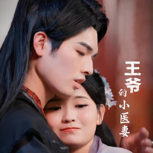 王爷的小医妻